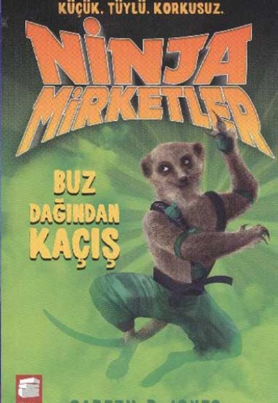 Ninja Mirketler -3 Buz Dağından Kaçış Ninja Mirketler -3 Buz Dağından Kaçış