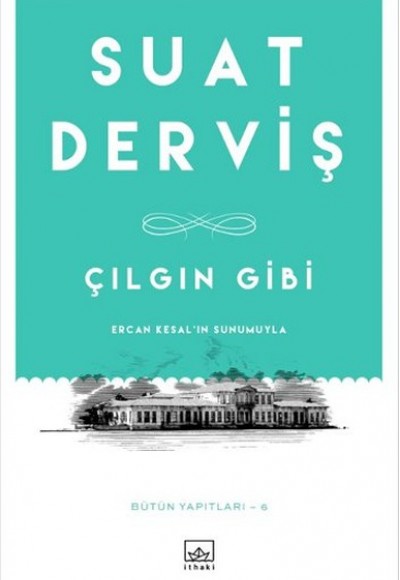 Çılgın Gibi Çılgın Gibi