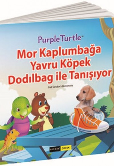 Mor Kaplumbağa Yavru Köpek Dodılbag ile Tanışıyor Mor Kaplumbağa Yavru Köpek Dodılbag ile Tanışıyor