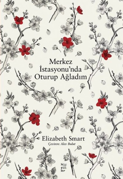 Merkez İstasyonu’nda Oturup Ağladım Merkez İstasyonu’nda Oturup Ağladım