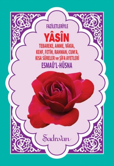 Faziletleriyle Yasini Şerif (Hafız Boy) Faziletleriyle Yasini Şerif (Hafız Boy)