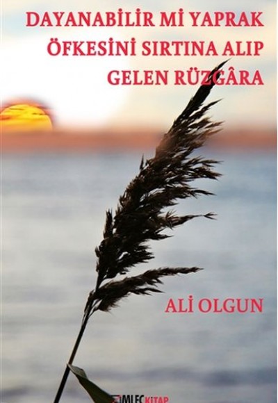 Dayanabilir mi Yaprak Öfkesini Sırtına Alıp Gelen Rüzgara Dayanabilir mi Yaprak Öfkesini Sırtına Alıp Gelen Rüzgara