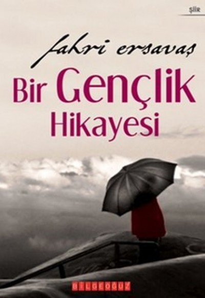 Bir Gençlik Hikayesi Bir Gençlik Hikayesi