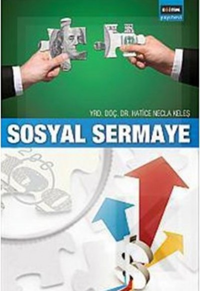 Sosyal Sermaye Sosyal Sermaye