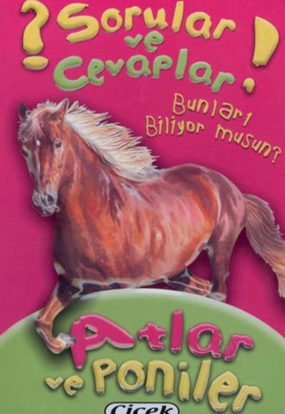 Sorular Ve Cevaplar Kart Atlar Ve Poniler Sorular Ve Cevaplar Kart Atlar Ve Poniler