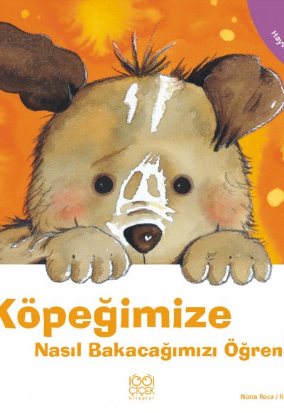 Köpeğimize Nasıl Bakacağımızı Öğrenelim