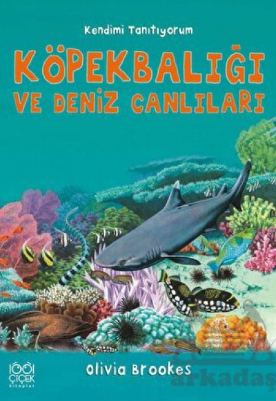Köpekbalığı ve Deniz Canlıları - Kendimi Tanıtıyorum Köpekbalığı ve Deniz Canlıları - Kendimi Tanıtıyorum