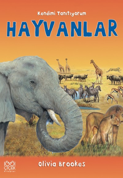 Hayvanlara Soralım Hayvanlara Soralım