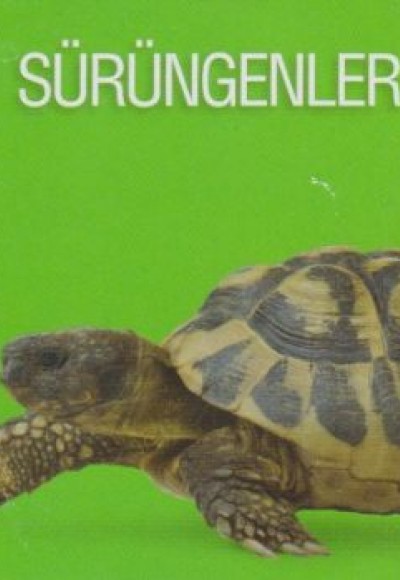 Sürüngenler Sürüngenler