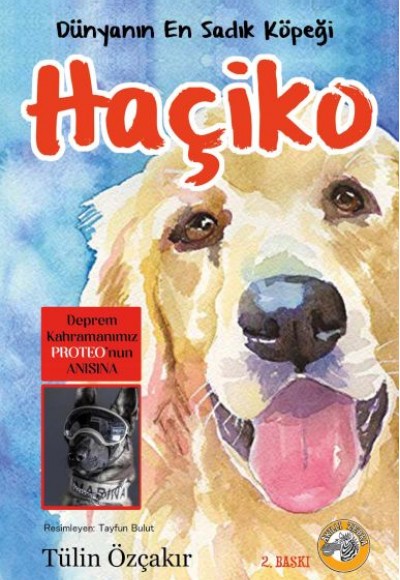 Dünyanın En Sadık Köpeği Haçiko
