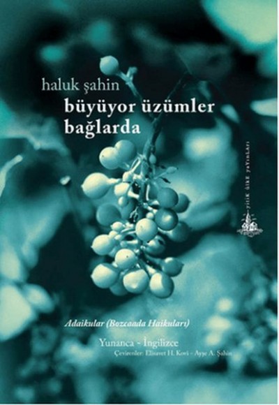 Büyüyor Üzümler Bağlarda Bozcaada Haikuları Adaikular