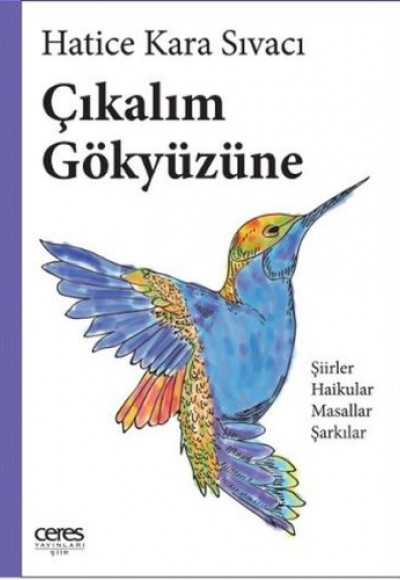 Çıkalım Gökyüzüne