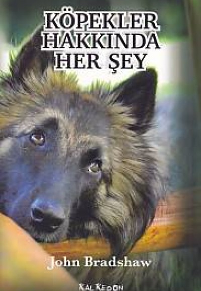 Köpekler Hakkında Herşey Köpekler Hakkında Herşey