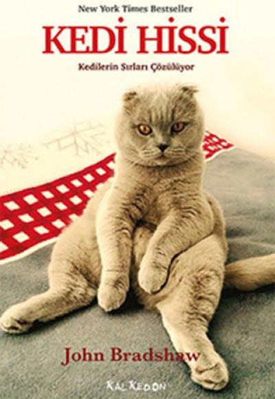 Kedi Hissi Kedi Hissi
