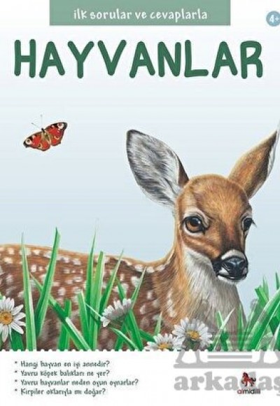 Hayvanlar Hayvanlar