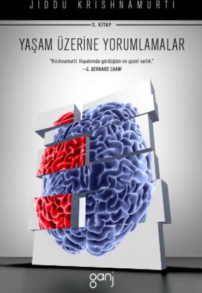 Yaşam Üzerine Yorumlamalar Cilt 3 Yaşam Üzerine Yorumlamalar Cilt 3