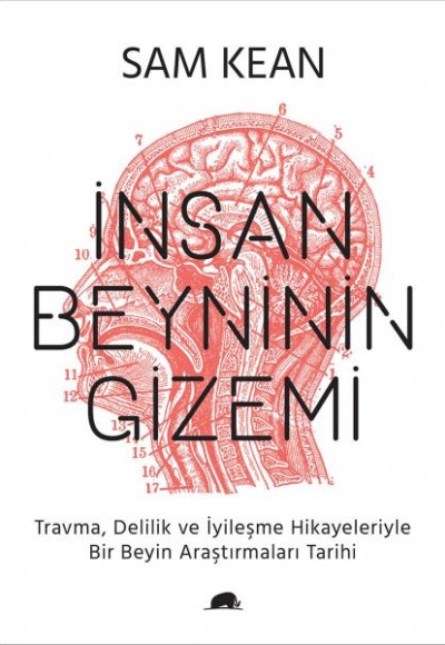 İnsan Beyninin Gizemi İnsan Beyninin Gizemi