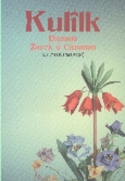 Kulilk Diwana Zarok u Ciwanan Kulilk Diwana Zarok u Ciwanan