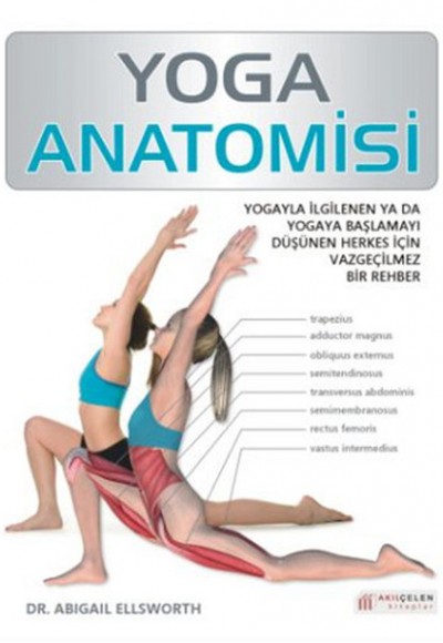 Yoga Anatomisi Yoga Anatomisi