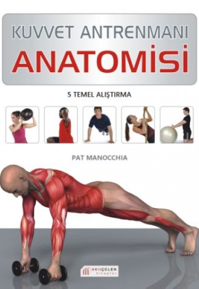 Kuvvet Antrenmanı Anatomisi Kuvvet Antrenmanı Anatomisi