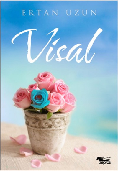 Visal Visal