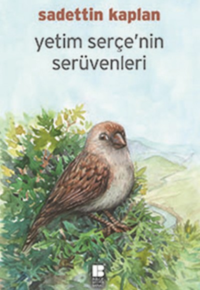 Yetim Serçe'nin Serüvenleri Yetim Serçe'nin Serüvenleri