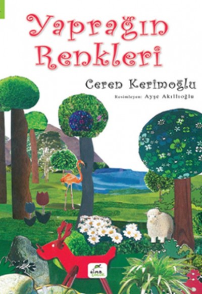 Yaprağın Renkleri Yaprağın Renkleri