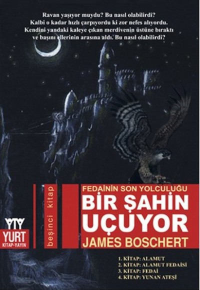 Bir Şahin Uçuyor Bir Şahin Uçuyor