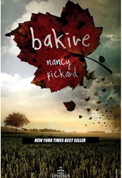 Bakire (Ciltli) Bakire (Ciltli)