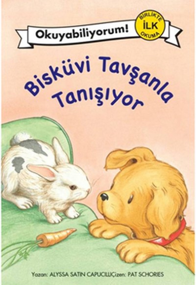 Bisküvi Tavşanla Tanışıyor Bisküvi Tavşanla Tanışıyor