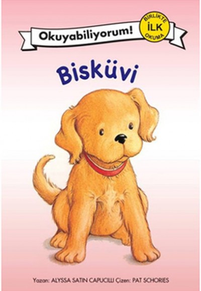 Bisküvi Bisküvi