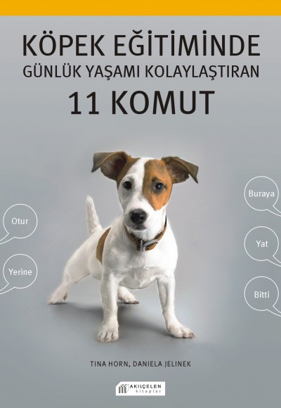 Köpek Eğitiminde Günlük Yaşamı Kolaylaştıran 11 Komut