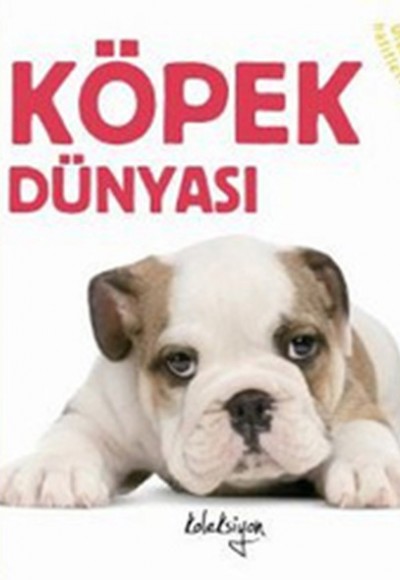 Köpek Dünyası Köpek Dünyası
