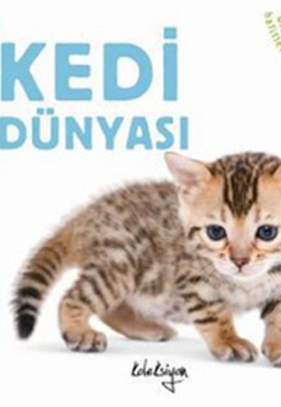 Kedi Dünyası Kedi Dünyası