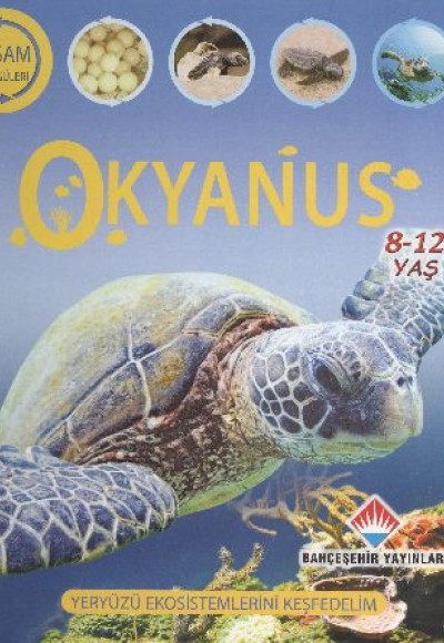 Yaşam Döngüsü - Okyanus (8-12 Yaş) Yaşam Döngüsü - Okyanus (8-12 Yaş)