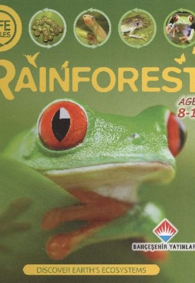 Life Cycles - Rainforest (8-12 Ages) Life Cycles - Rainforest (8-12 Ages)