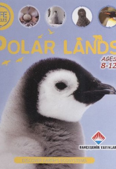 Life Cycles - Polar Lands (8-12 Ages) Life Cycles - Polar Lands (8-12 Ages)