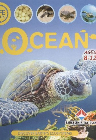 Life Cycles - Ocean (8-12 Ages) Life Cycles - Ocean (8-12 Ages)