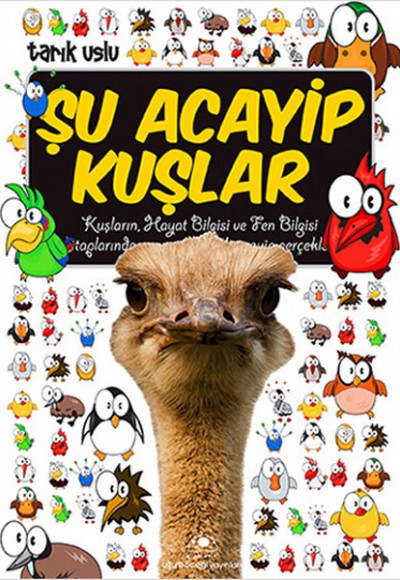 Şu Acayip Kuşlar Şu Acayip Kuşlar