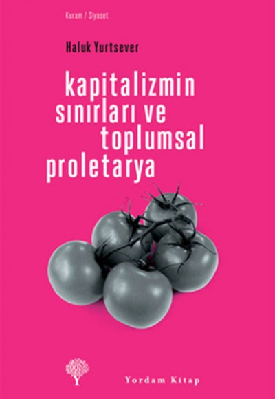 Kapitalizmin Sınırları ve Toplumsal Proletarya Kapitalizmin Sınırları ve Toplumsal Proletarya