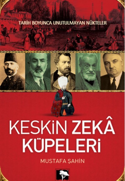 Keskin Zeka Küpeleri Keskin Zeka Küpeleri