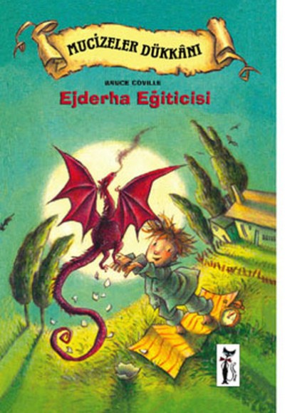 Ejderha Eğiticisi Ejderha Eğiticisi
