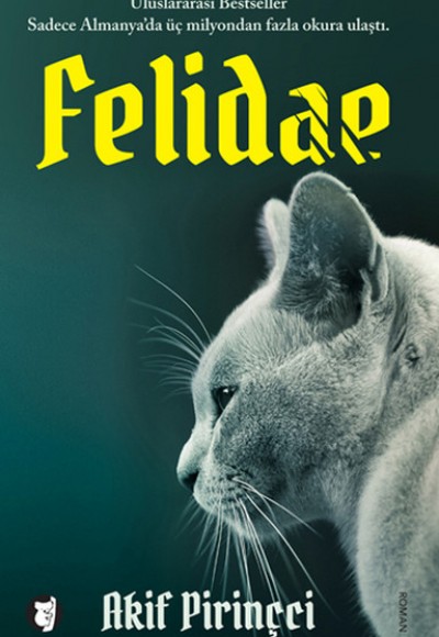 Felidae Felidae