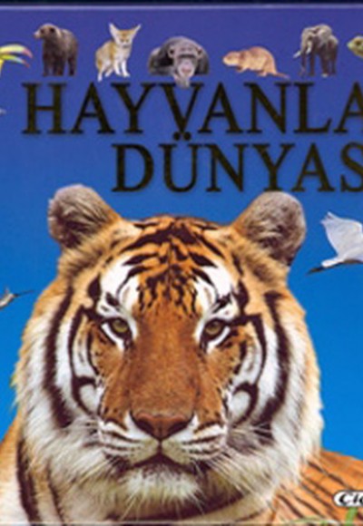 Hayvanlar Dünyası Hayvanlar Dünyası