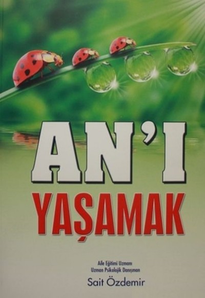 An'ı Yaşamak An'ı Yaşamak