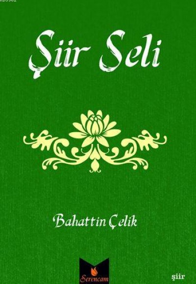 Şiir Seli Şiir Seli