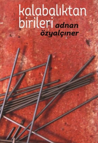 Kalabalıktan Birileri (Ciltli) Kalabalıktan Birileri (Ciltli)