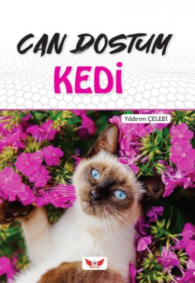 Can Dostum Kedi Can Dostum Kedi