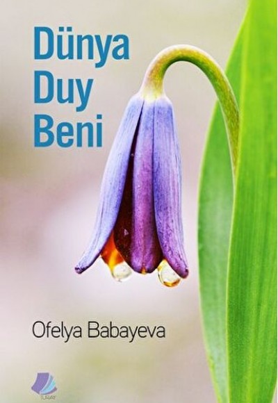 Dünya Duy Beni Dünya Duy Beni