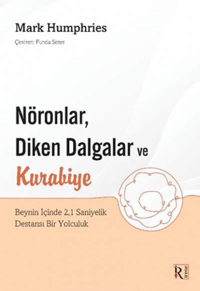 Nöronlar, Diken Dalgalar ve Kurabiye Nöronlar, Diken Dalgalar ve Kurabiye